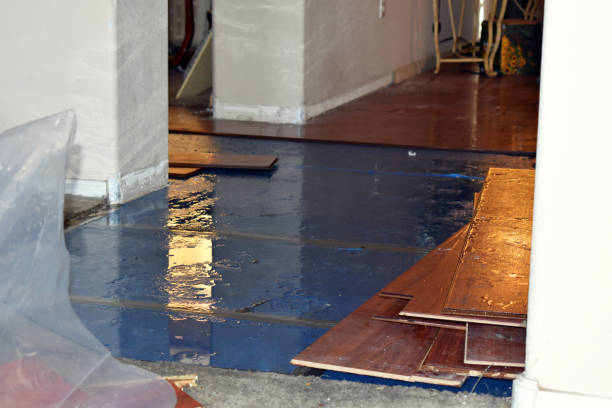 Professional Sewage Cleanup technician working in Crystal Lake, FL